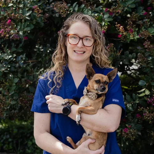 Dr. Courtney Rhodes of Nonantum Veterinary Clinic